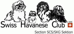 Le Club de race en Suisse du Havanais  Swiss Havanese Club