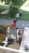 Havaneser Treffen 2008  -  Ankunft