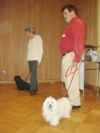 Swiss Havanese Fanclub 2006