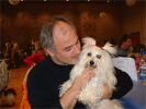 Swiss Havanese Fanclub 2006