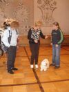 Swiss Havanese Fanclub 2006