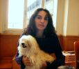 Swiss Havanese Fanclub 2006)