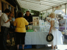 Rund um die Havaneser Boutique