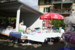 Swiss Havanese Fanclub Treffen 2007
