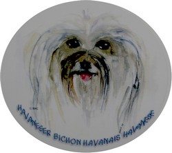 as4331p203t.jpg (13502 octets)