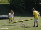 as4331p21t.gif (9422 octets)
