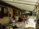 Havaneser Boutique und Fans