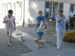 Havanais 2009