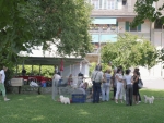 Havanais 2009