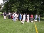 Havaneser Rennen 2009