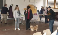 ftes des Havanais 2010