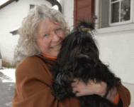 M. Seeberger Havanese Stars
