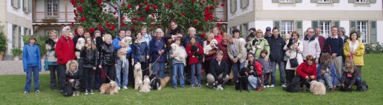 Havaneser Treffen 2010