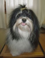 Urko à 2 ans