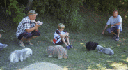 as4331p38t.gif (15370 octets)
