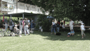Fte des Havanais 2008