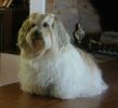 Babette