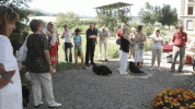 Fte des Havanais 2008
