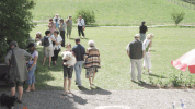 Havaneser Treff 2008