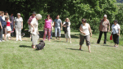 Havaneser Treffen mit Christine am ben 2008