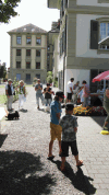 Havaneser Treffen 2008